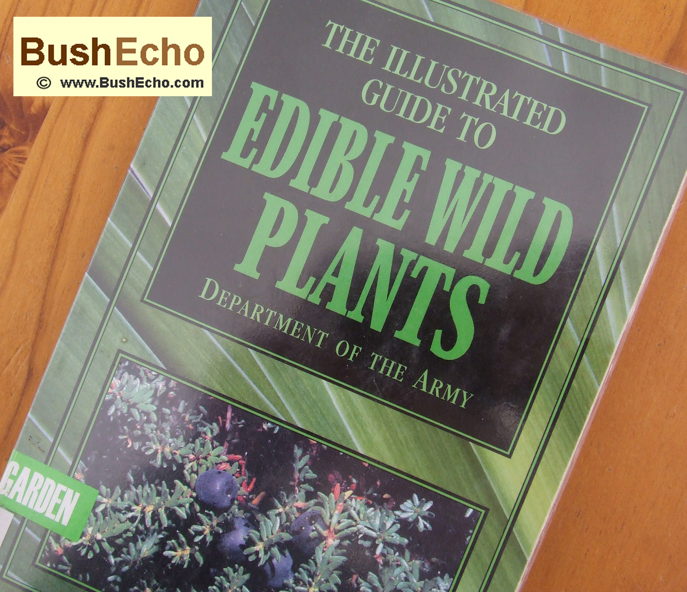 Army Guide Wild Edible Plants