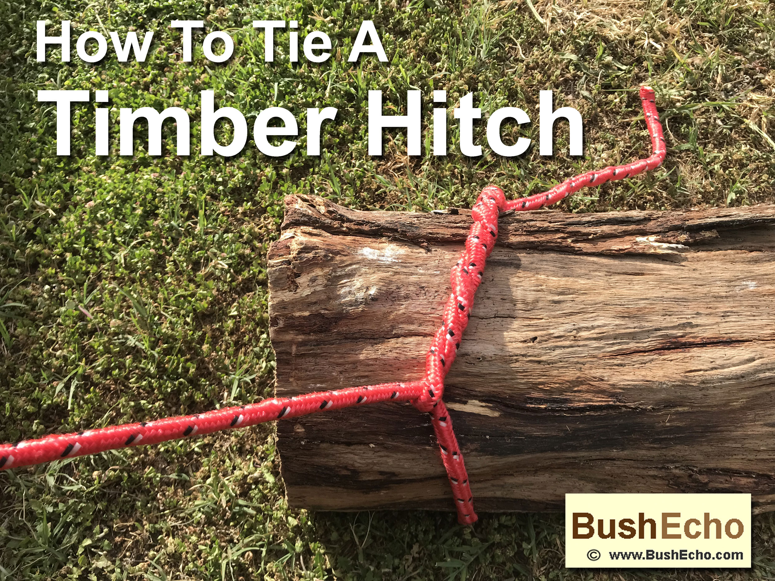 Bushcraft how to tie timber hitch
